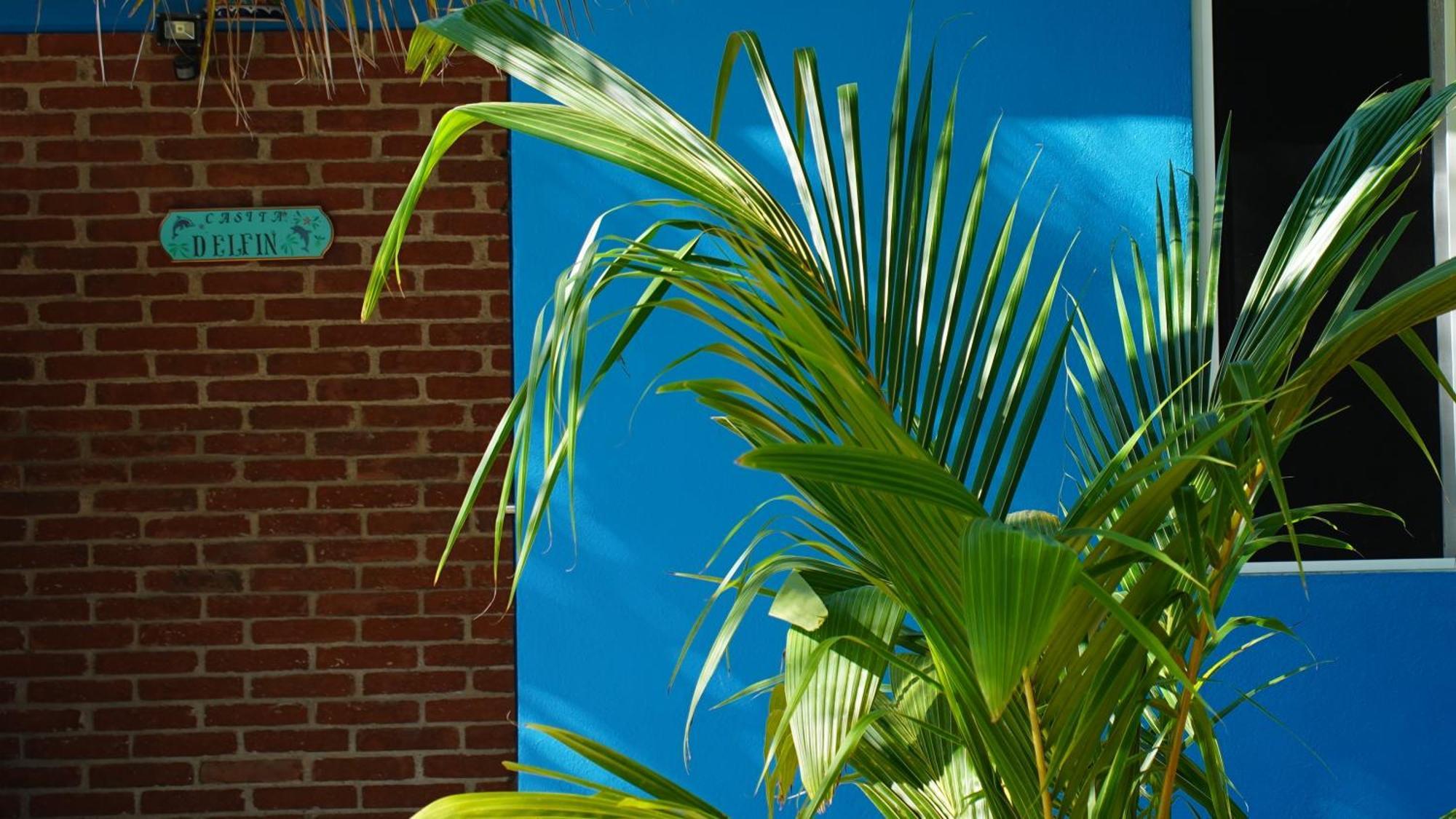 Ocean Oasis Hotel - Adult Only, Four Casitas Boutique Resort Agua Blanca Exterior photo