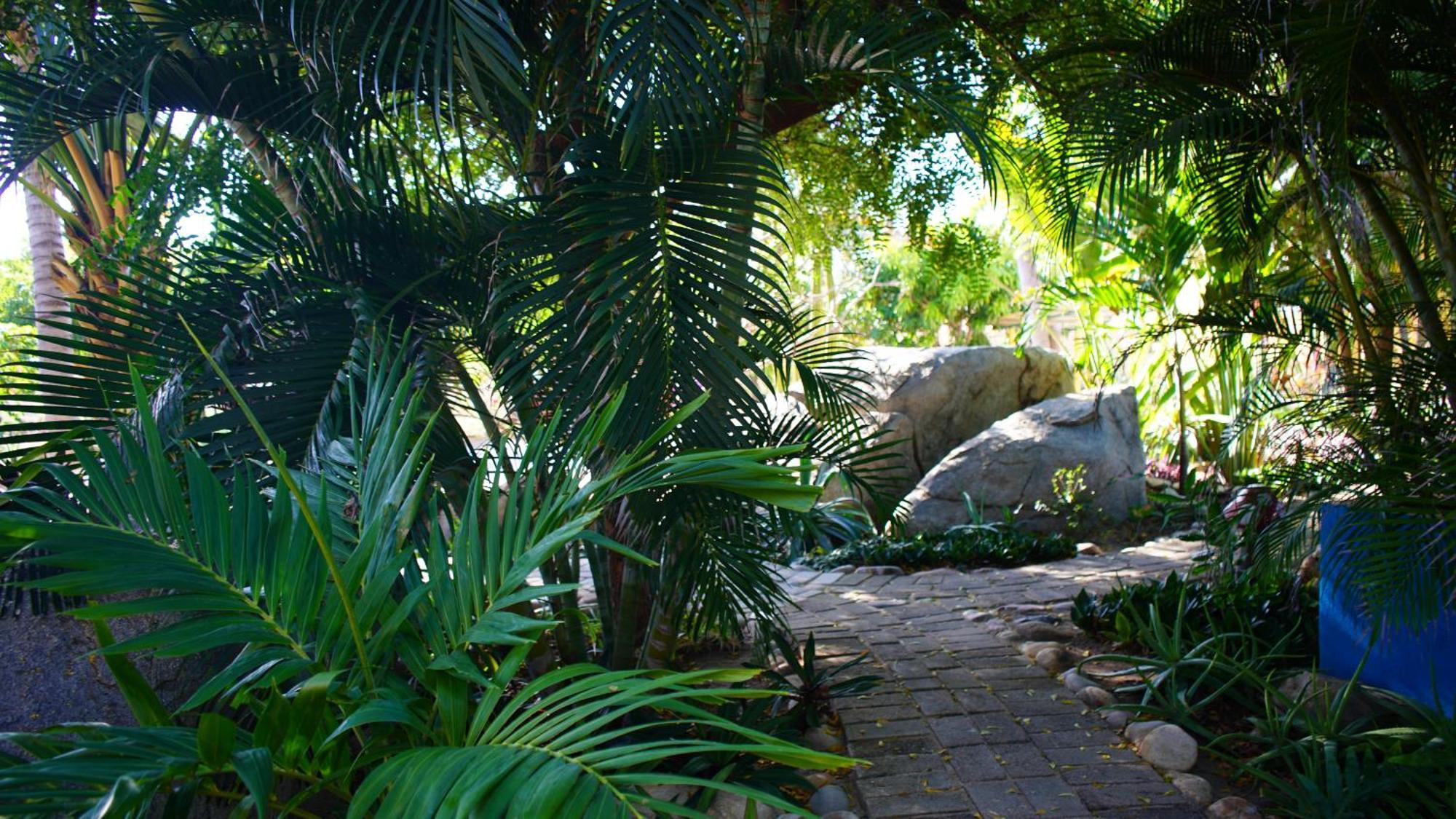 Ocean Oasis Hotel - Adult Only, Four Casitas Boutique Resort Agua Blanca Exterior photo
