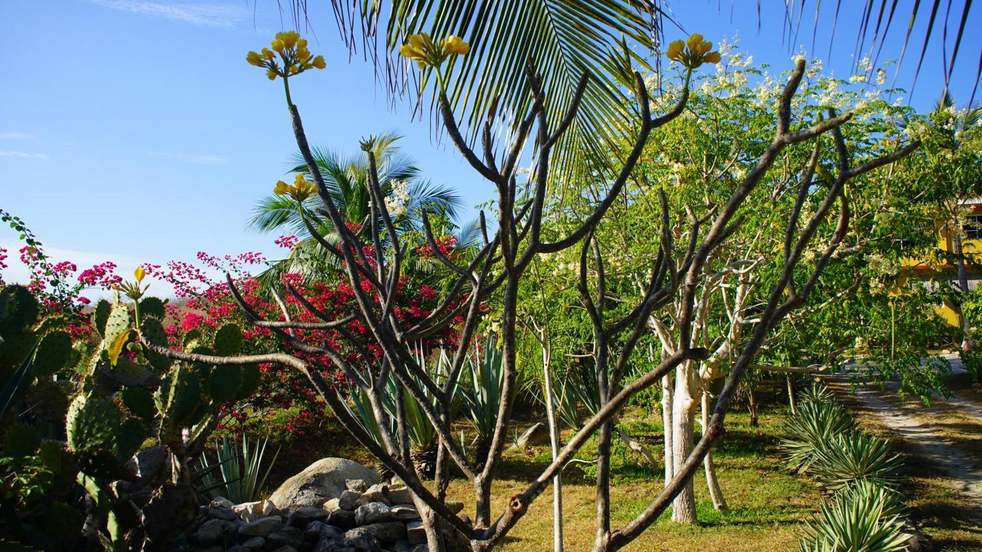 Ocean Oasis Hotel - Adult Only, Four Casitas Boutique Resort Agua Blanca Exterior photo