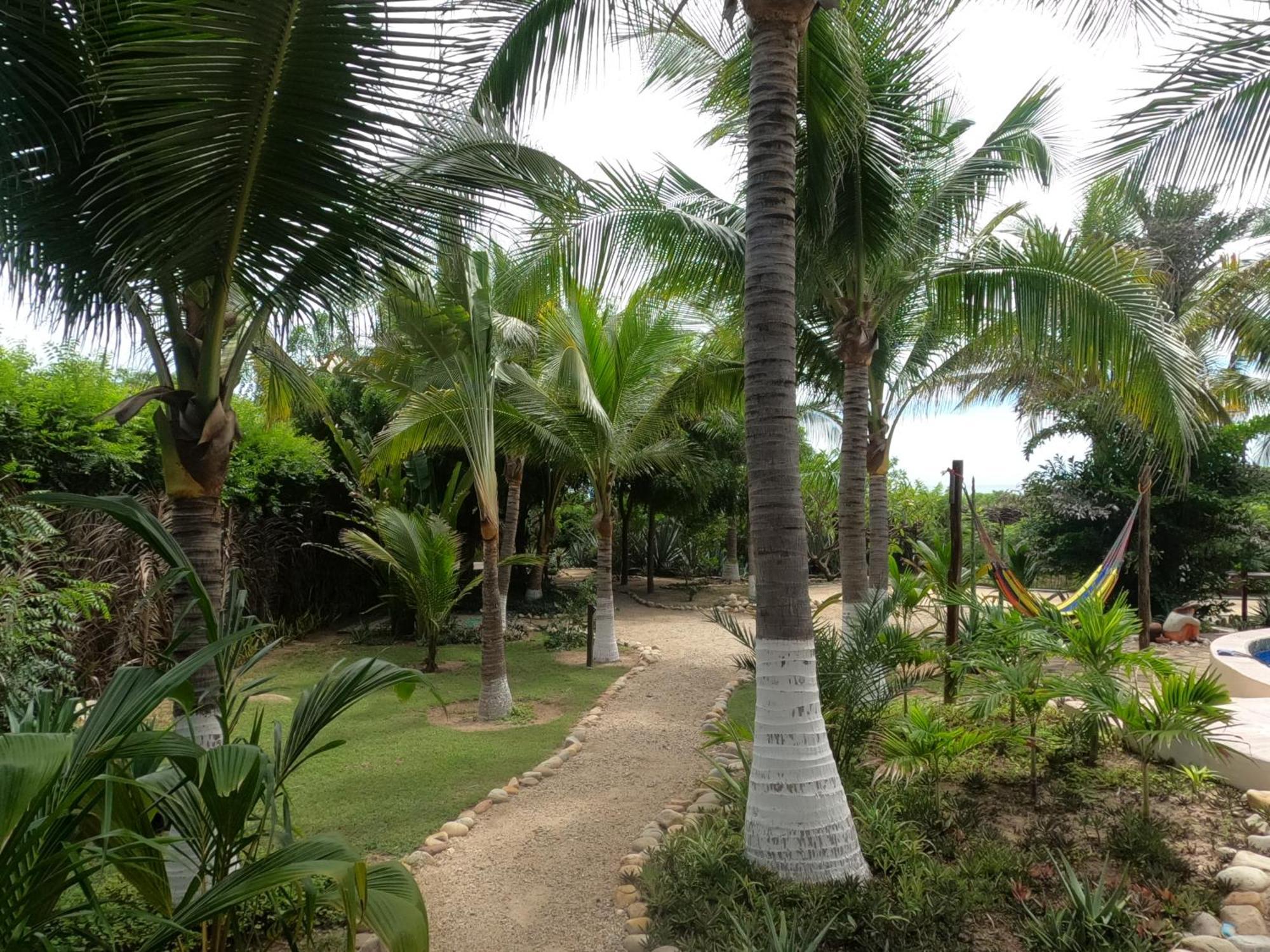Ocean Oasis Hotel - Adult Only, Four Casitas Boutique Resort Agua Blanca Exterior photo